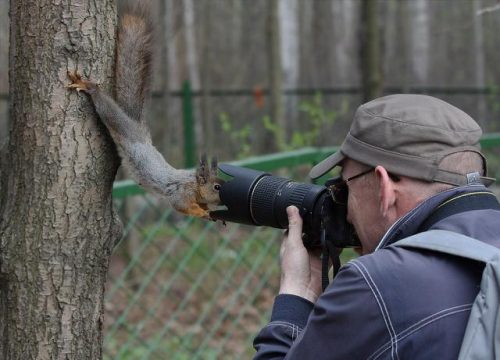 面白い写真