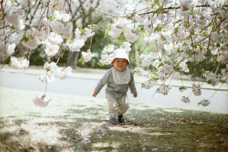 子供写真の撮り方 子供写真の撮影で押さえるべき４パターン A